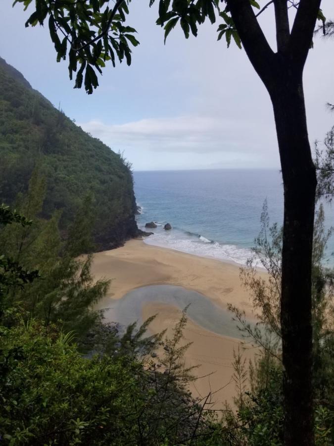 Puu Poa Ocean Bluff Condo, Incredible Views, Walk To Beaches, Pool & Tennis Princeville Exteriér fotografie