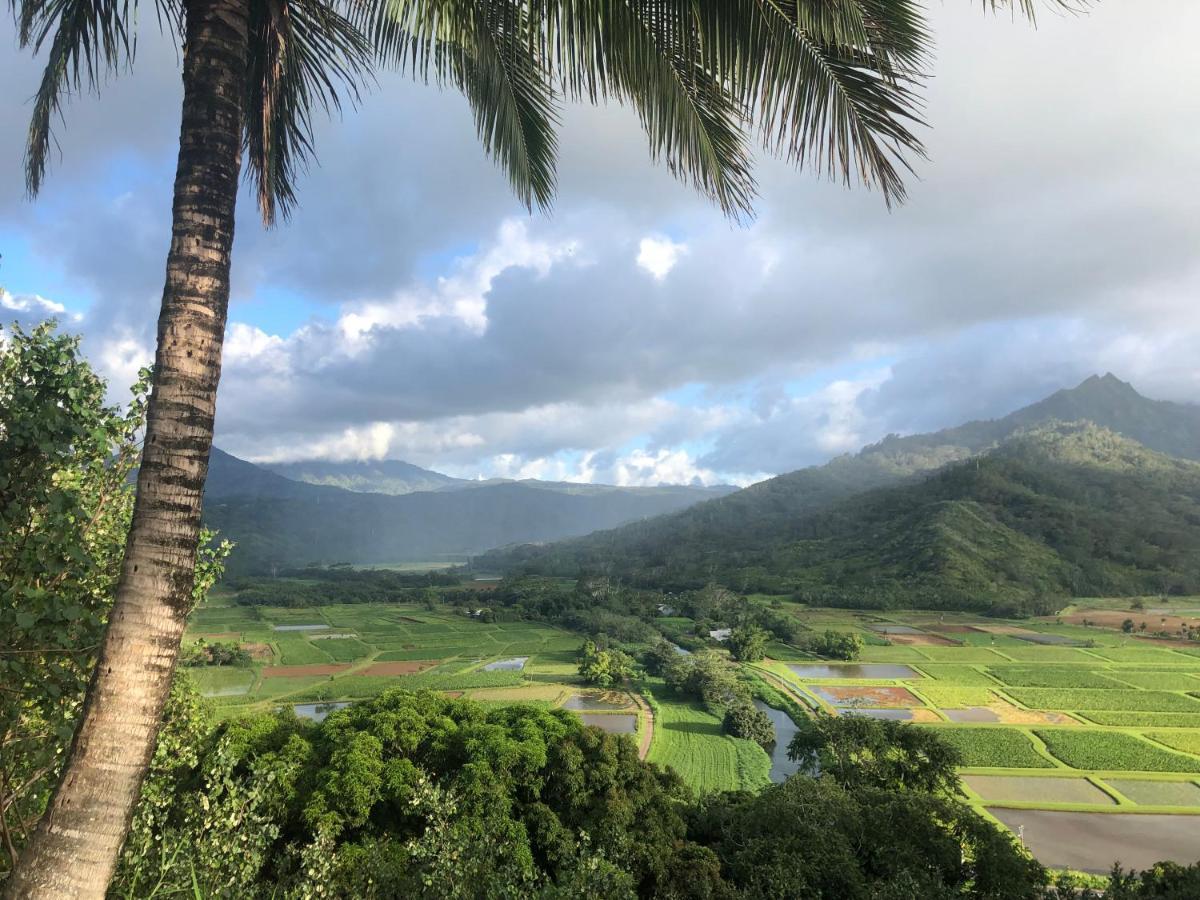 Puu Poa Ocean Bluff Condo, Incredible Views, Walk To Beaches, Pool & Tennis Princeville Exteriér fotografie